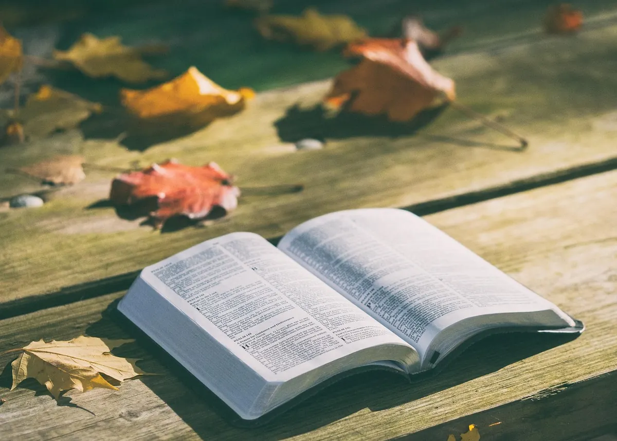 How to Run a Nature Poetry Reading Group: A Practical Checklist